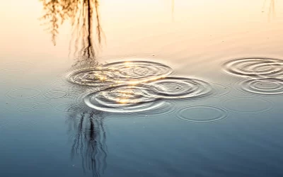Qi Gong e Acqua – Reggio Emilia 21/01/23
